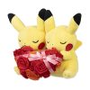 THEVOLTAGE.CL SAN VALENTIN X POKEMON - Imagen 5
