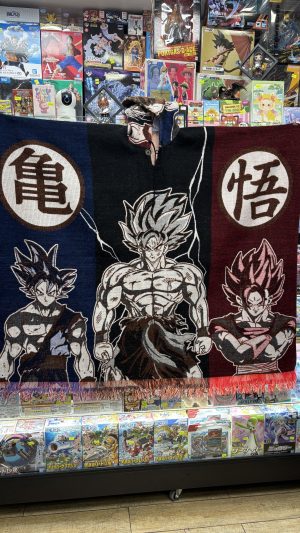 ANIME PONCHO DRAGON BALL 1