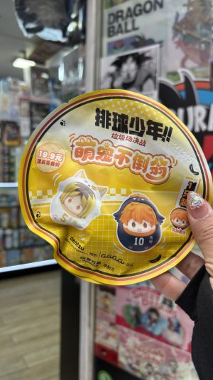 -  HAIKYU!! BLIND BOX