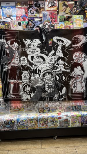 ANIME PONCHO ONE PIECE 4