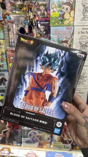 DRAGON BALL BLOOD OF SAIYANS GOKU