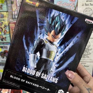 DRAGON BALL BLOOD OF SAIYANS VEGETA